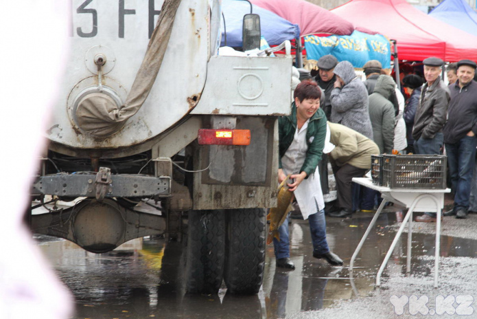 Эх, хвост, чешуя (+фото)